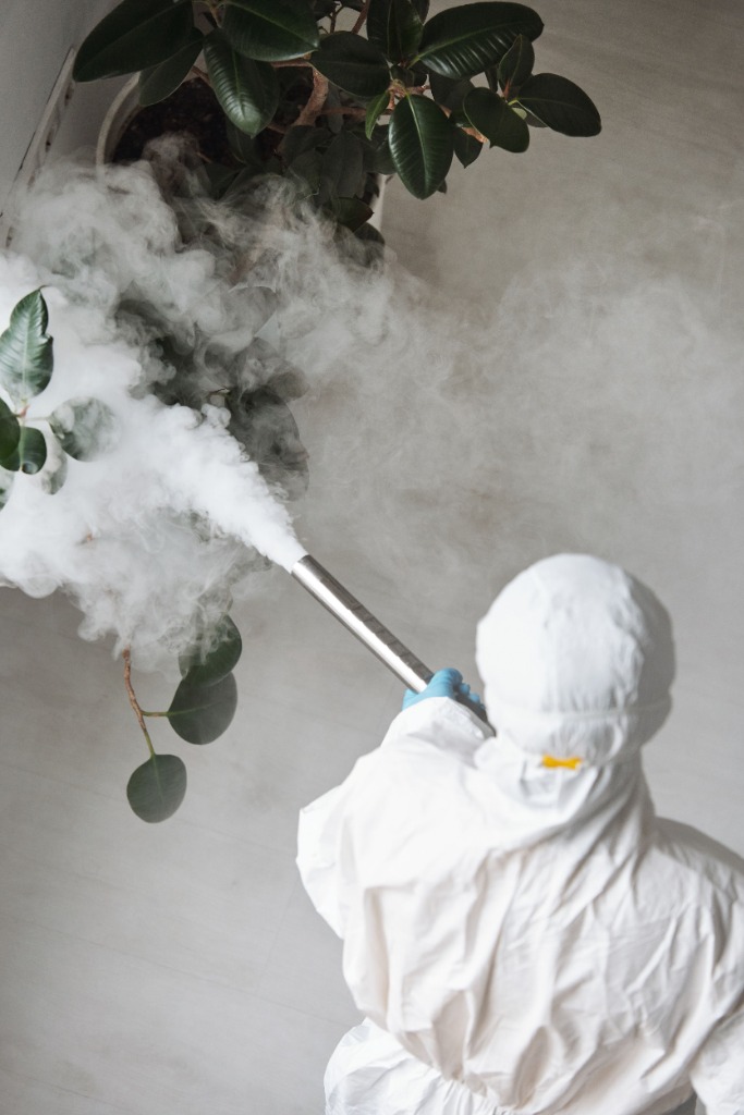 Residential Pest Control
